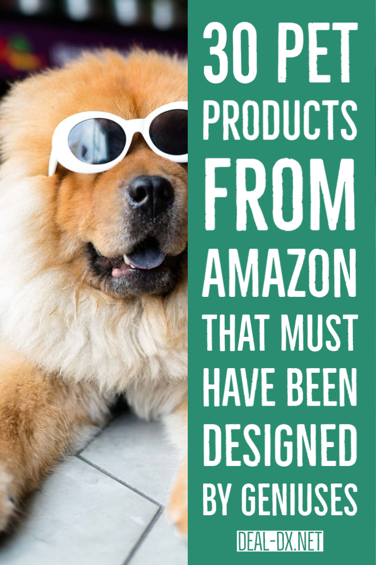 30 Pet Products From Amazon That Must Have Been Designed By Geniuses | Animals | cats | cat | dog | pets | animal